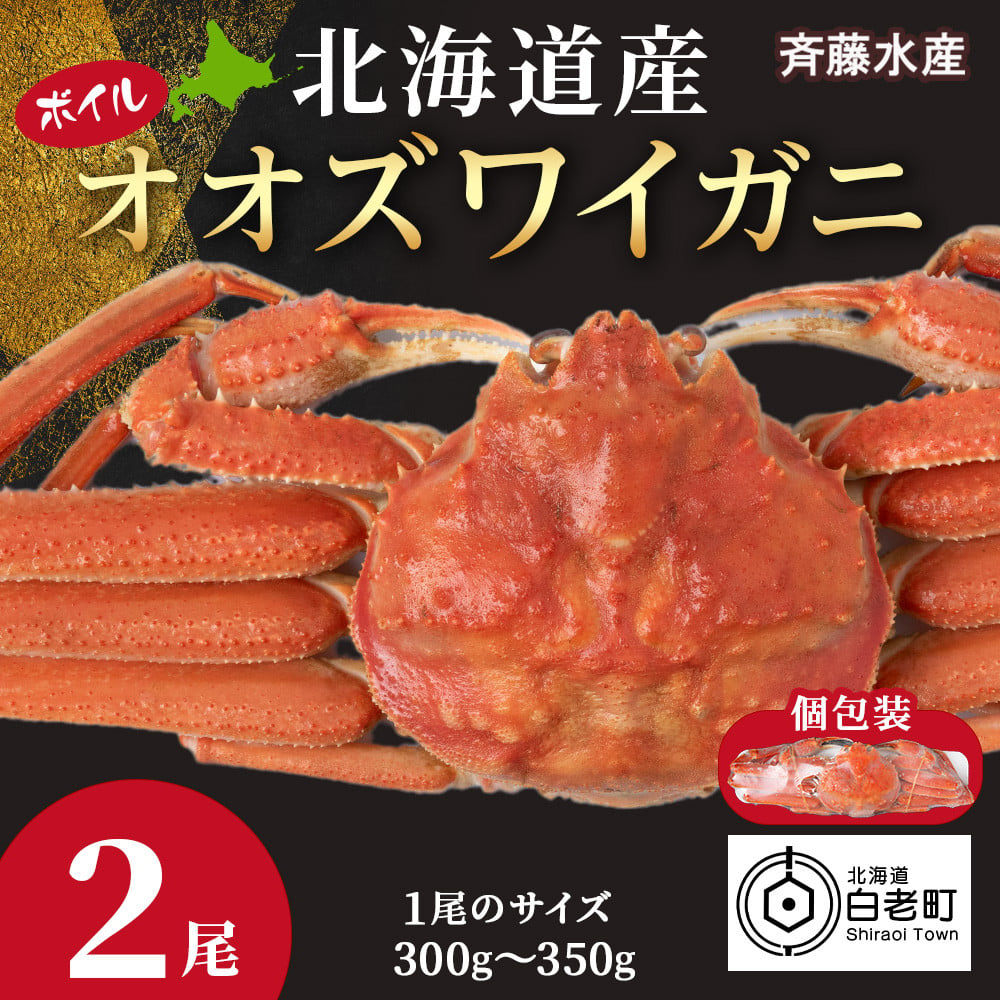 北海道産 大ズワイ 300g～350g ×2尾 ＜斉藤水産＞ オオズワイ 蟹 かに カニ ボイル - 北海道白老町｜ふるさとチョイス - ふるさと納税 サイト