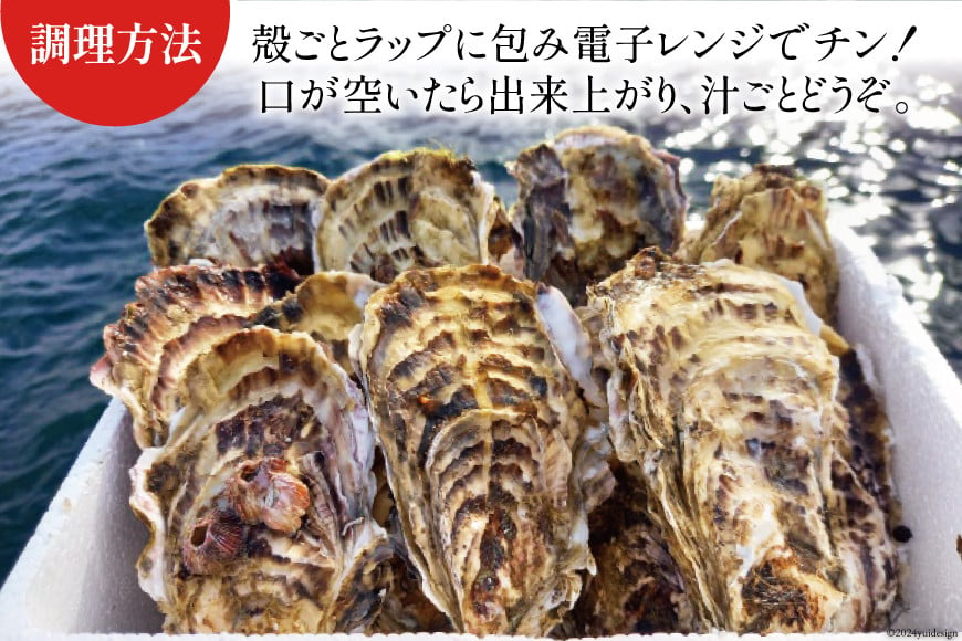 期間限定発送】牡蠣 南三陸志津川産 殻付き牡蠣 8.5kg 50個前後 [南三陸牡蠣倶楽部 宮城県 南三陸町 30ao0003 カキ かき 生牡蠣  魚貝類 生牡蠣 貝 海鮮 魚介類 オイスター カキフライ カキ鍋 アヒージョ 魚介 期間限定 冷蔵 新鮮 濃厚 - 宮城県南三陸町｜ふるさとチョイス  ...