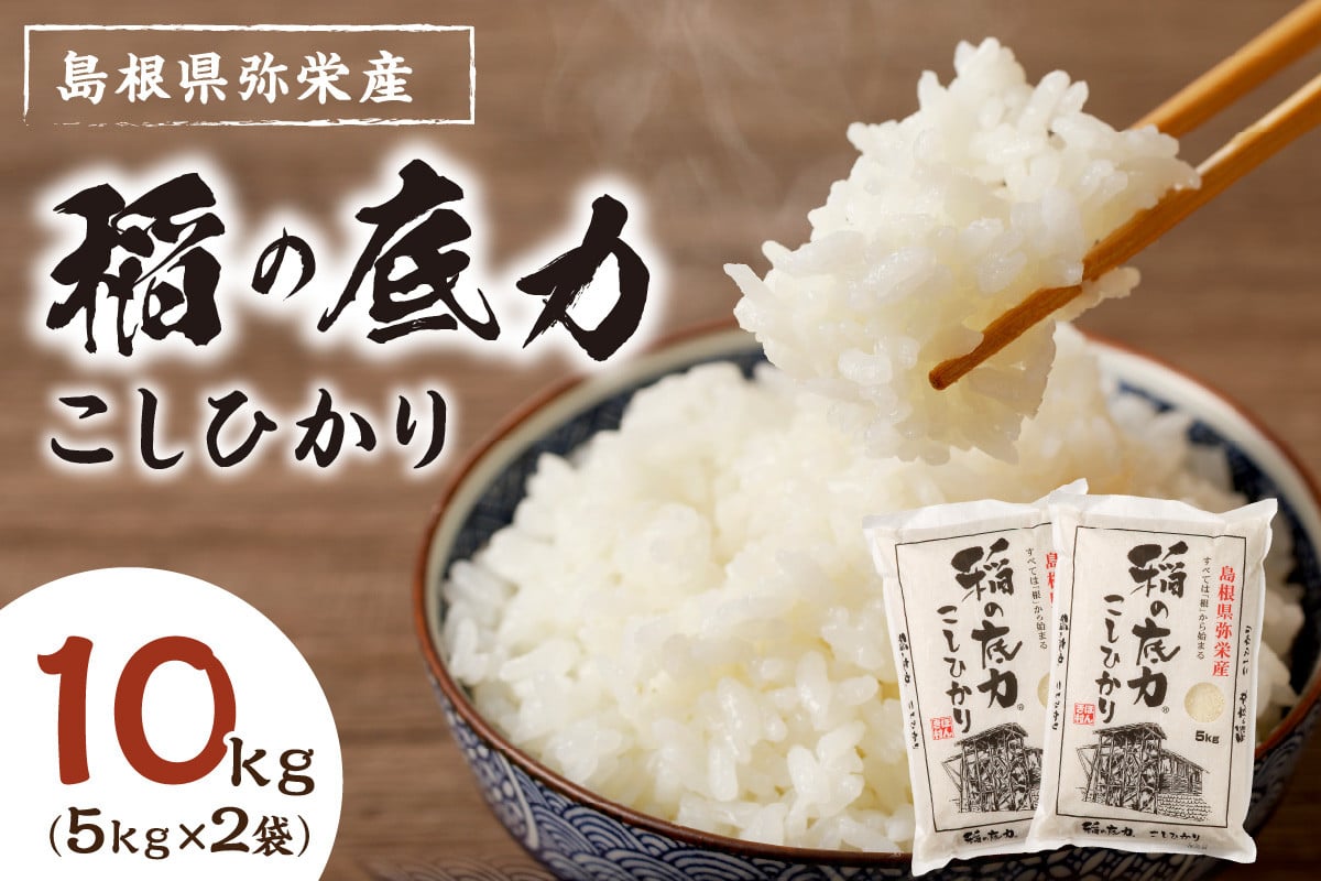 スピード発送】【お歳暮】【年内配送】【令和6年産】浜田産「稲の底力こしひかり」10kg お取り寄せ 特産 お米 精米 白米 ごはん ご飯 コメ 新米  新生活 応援 準備 10キロ 【120】 - 島根県浜田市｜ふるさとチョイス - ふるさと納税サイト