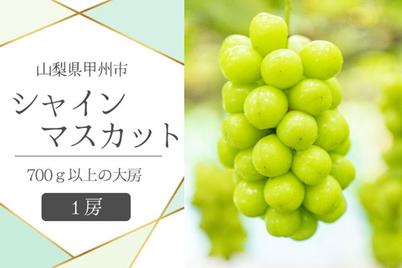 甲州市産シャインマスカット1房 大房700g以上 産地直送【2025年発送】（VYD）B-885【シャインマスカット 葡萄 ぶどう ブドウ  令和7年発送 期間限定 山梨県産 甲州市 フルーツ 果物】 - 山梨県甲州市｜ふるさとチョイス - ふるさと納税サイト