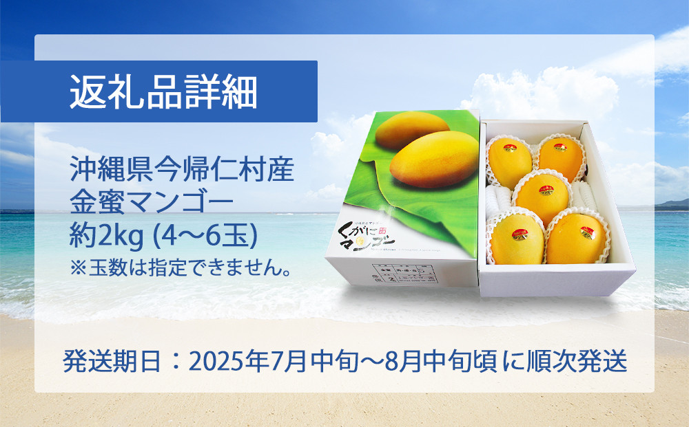 黄金(くがに)マンゴー「金蜜」(2kg) 【2025年７月中旬～８月中旬頃配送】 生産者直送 - 沖縄県今帰仁村｜ふるさとチョイス -  ふるさと納税サイト