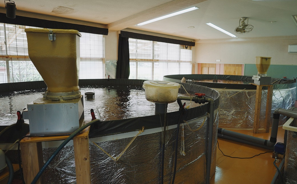 教室を活用して整備された閉鎖循環式陸上養殖場の一例