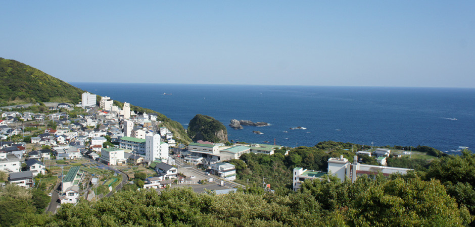 足摺岬地区
