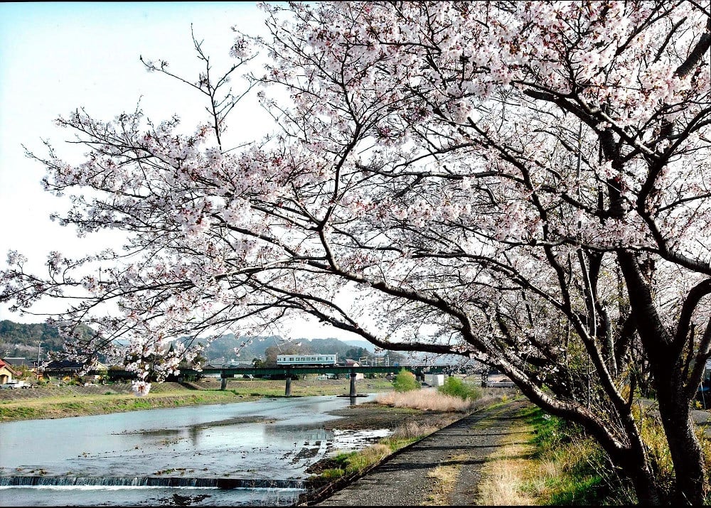 写真
