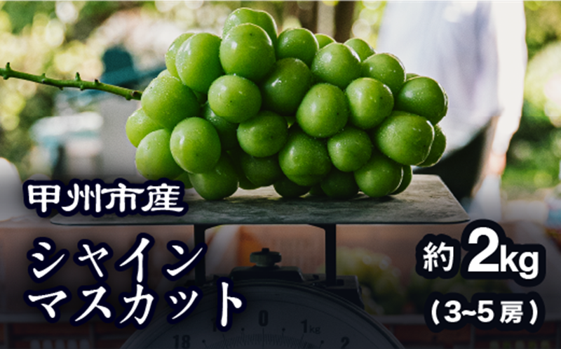 農家厳選！】甲州市産 シャインマスカット 約2kg【2025年発送】（PJ）B15-144 【シャインマスカット 葡萄 ぶどう ブドウ 令和7年発送  期間限定 山梨県産 甲州市 フルーツ 果物 - 山梨県甲州市｜ふるさとチョイス - ふるさと納税サイト