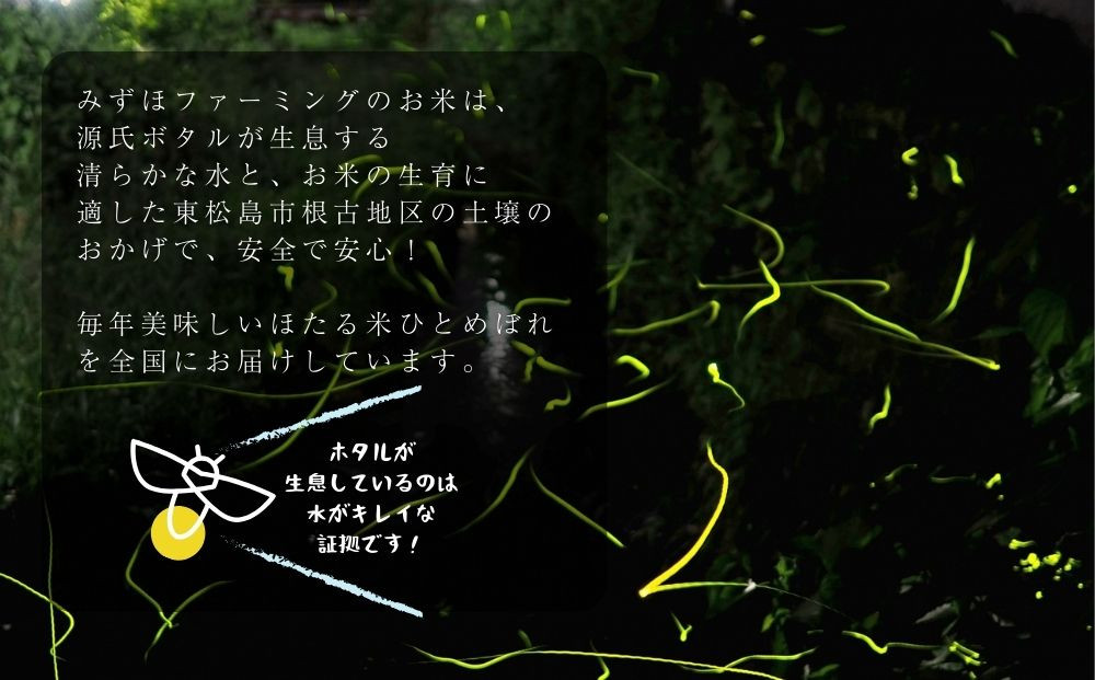 令和6年産 特別栽培米 ほたる米 ひとめぼれ 精米 10㎏ 宮城県産 お米 ごはん 新米 米 朝ごはん 白米 こめ コメ オンラインワンストップ 対応  自治体マイページ 宮城県 - 宮城県東松島市｜ふるさとチョイス - ふるさと納税サイト