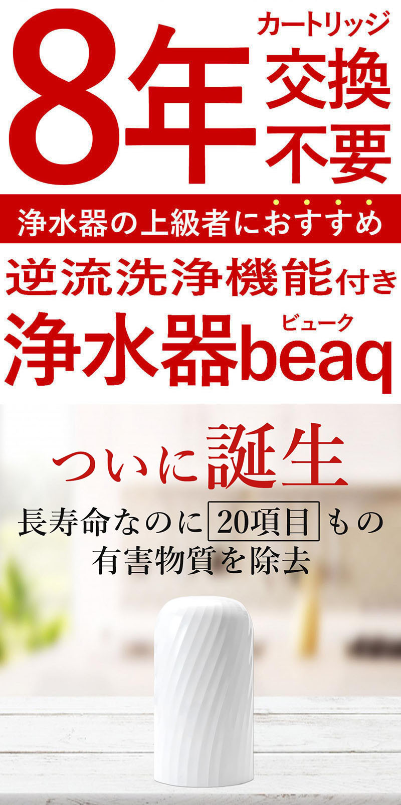 61002】浄水器【ビューク】 浄水器 8年交換不要 逆流洗浄 【取付