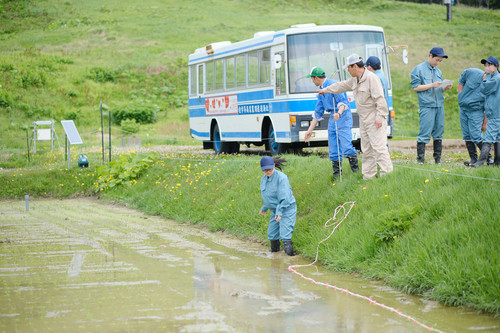 写真