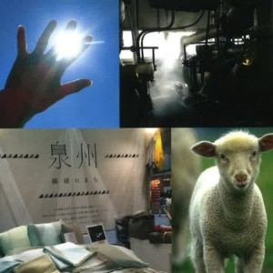 写真