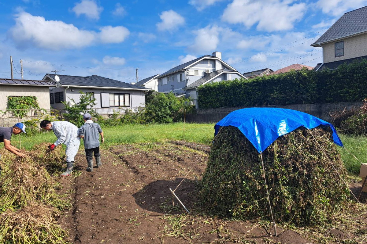 写真
