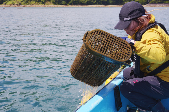 女性1人でもできる牡蠣養殖への挑戦