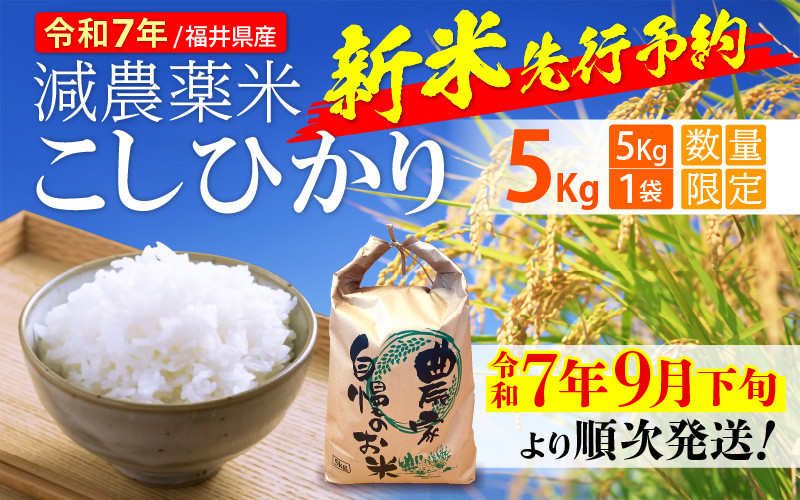 令和7年産新米・先行予約】減農薬米 こしひかり 5kg 令和7年 福井県産【玄米 対応可】【令和7年9月下旬より順次発送】 [e35-a032] -  福井県越前町｜ふるさとチョイス - ふるさと納税サイト