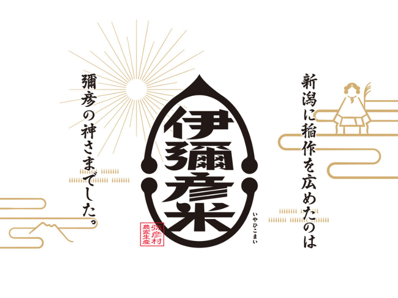 新米受付＞令和6年産特別栽培米コシヒカリ 伊彌彦米 10kg(5kg×2袋)新潟県産 精米 弥彦村【1006486】 - 新潟県弥彦村｜ふるさとチョイス  - ふるさと納税サイト