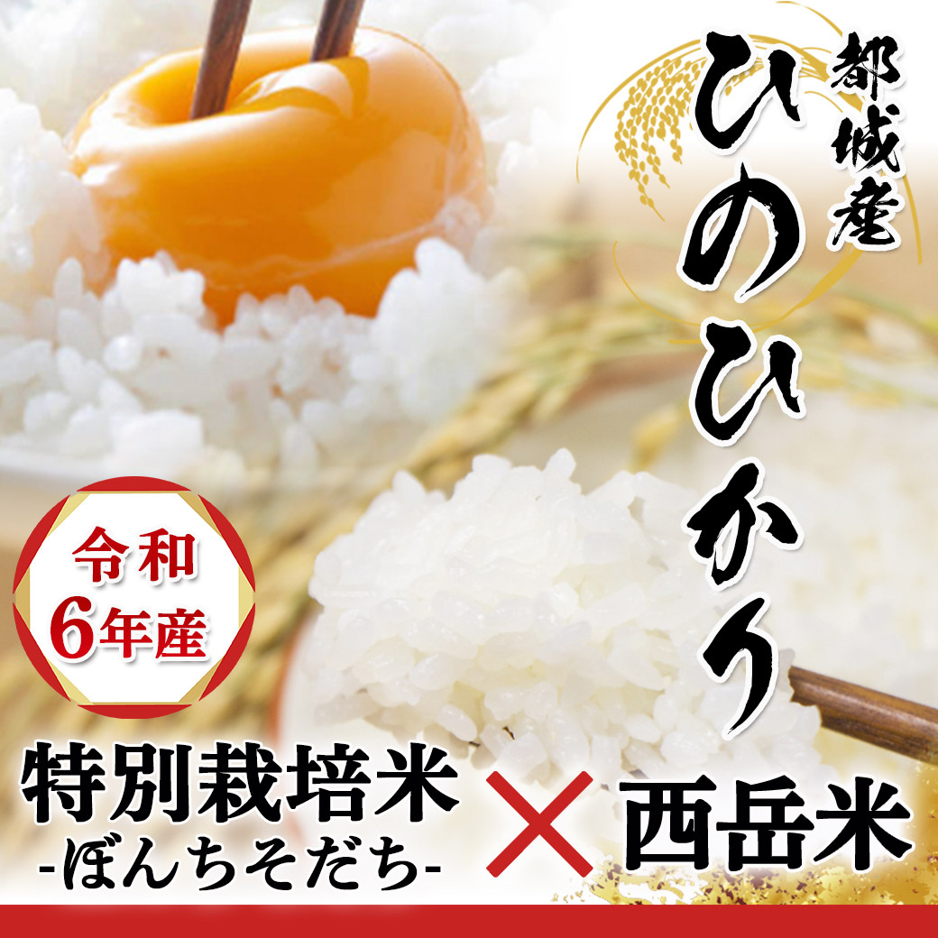 都城産ひのひかり 特別栽培米「ぼんちそだち」・「西岳米」 15kgセット_31-2201_(都城市) 白米 都城産 5kg お弁当 ライス お米  おこめ ヒノヒカリ - 宮崎県都城市｜ふるさとチョイス - ふるさと納税サイト