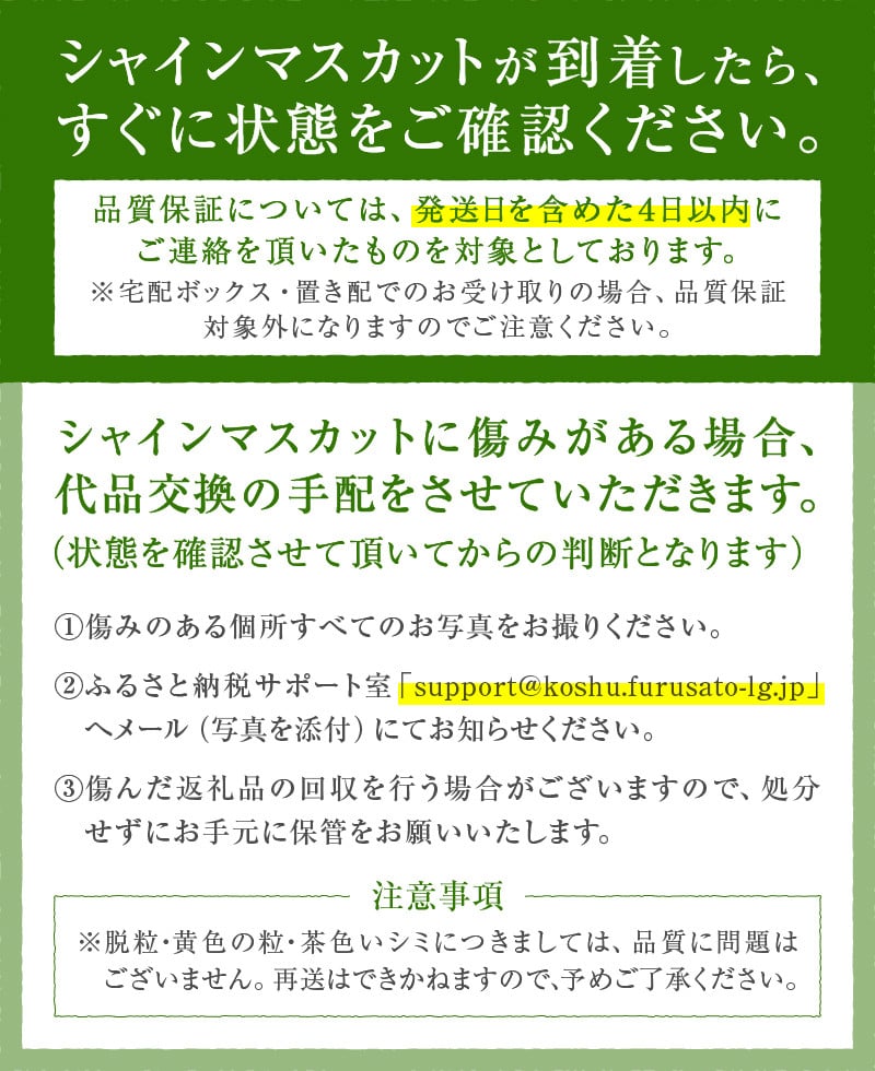 感謝を込めて最高の朝採りシャインマスカットをお贈りします！1.0kg以上（2房）【2025年発送】（LMS）B-416 【シャインマスカット 葡萄  ぶどう ブドウ 令和7年発送 期間限定 山梨県産 甲州市 フルーツ 果物】 - 山梨県甲州市｜ふるさとチョイス - ふるさと納税サイト