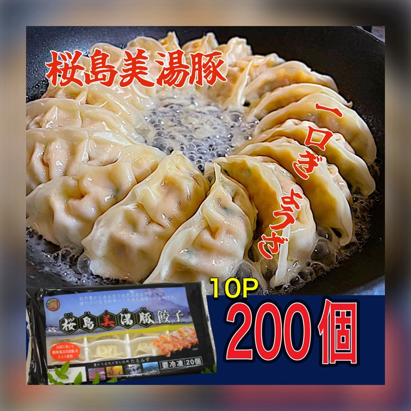 鹿児島県産桜島美湯豚 一口餃子 200個(20個×10パック)