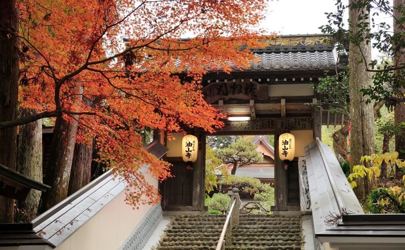 医王山油山寺の山門前（紅葉）