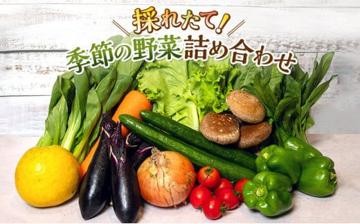 袋井の野菜