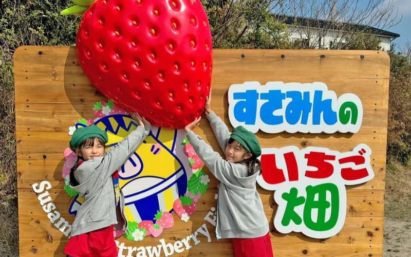写真
