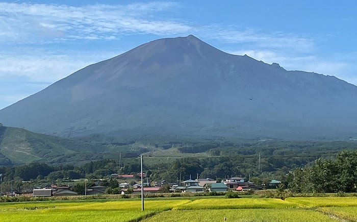 秘湯 源泉かけ流し 松川温泉 松川荘 1泊2食付 1名様 和室D ／ 宿泊券 旅行 温泉 露天風呂 観光 - 岩手県八幡平市｜ふるさとチョイス -  ふるさと納税サイト