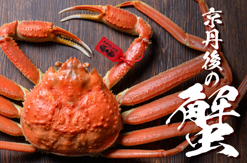 京丹後といえばカニ！カニの姿やポーションタイプなど、種類も豊富！
