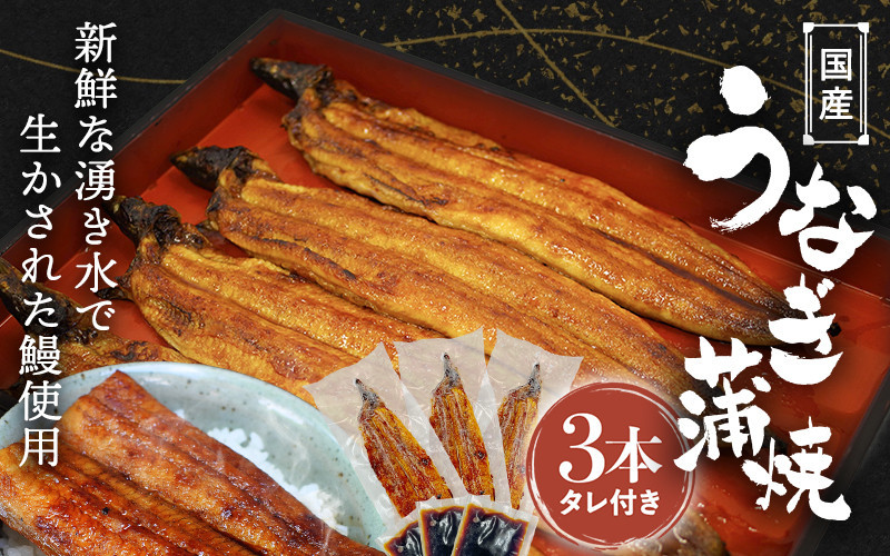 詳細はこちら！