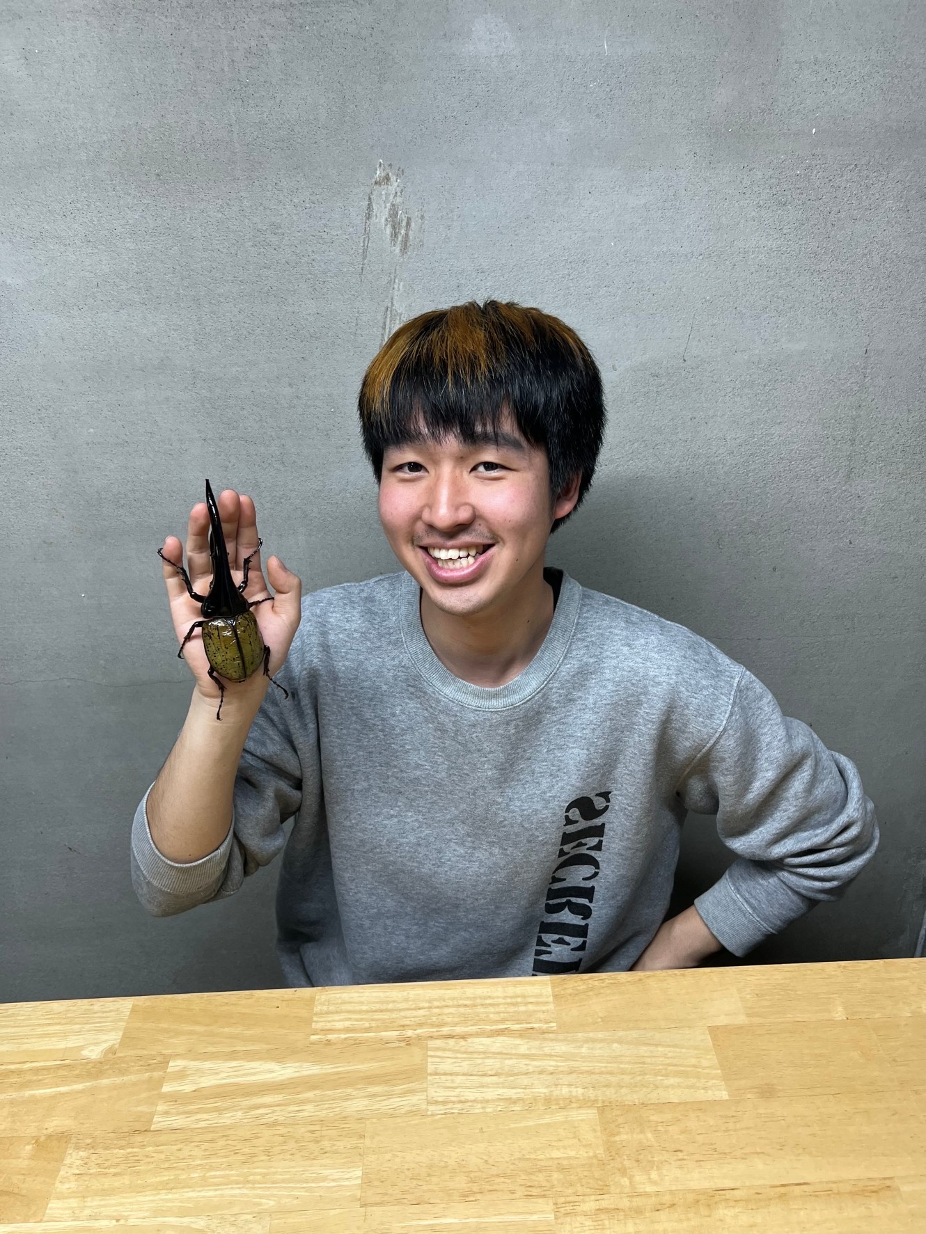 写真