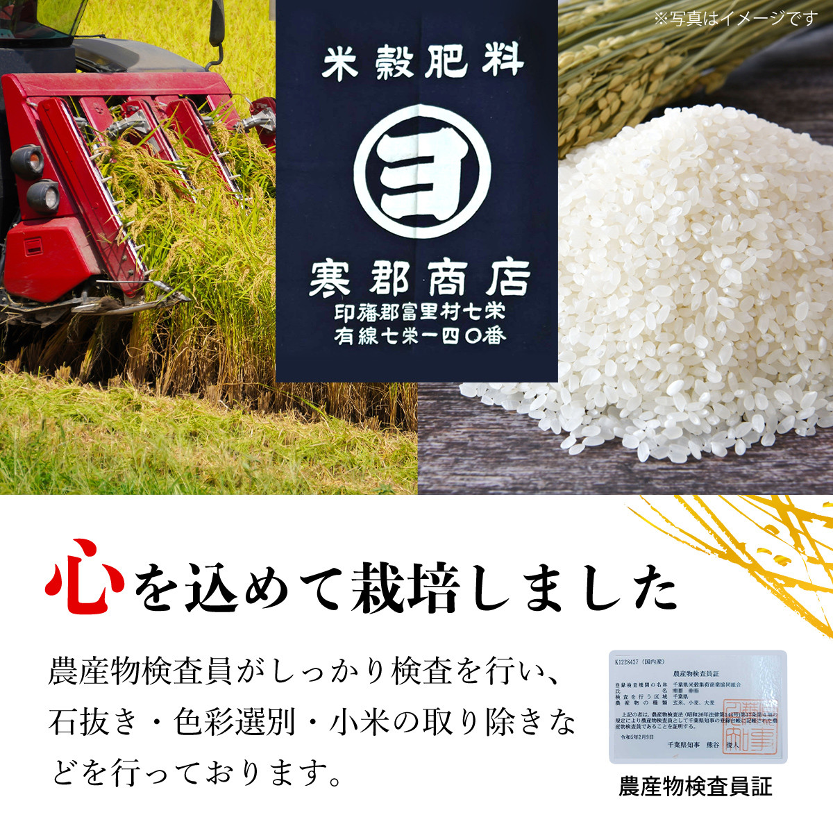 写真