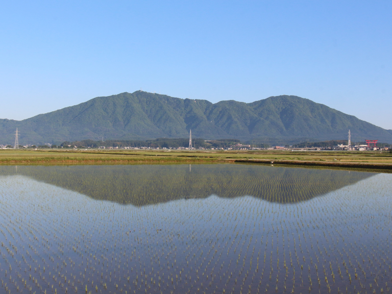 写真