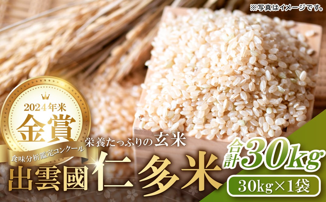 コシヒカリ玄米30kg 令和3年度産 ☆岐阜県産のお米 - 食品