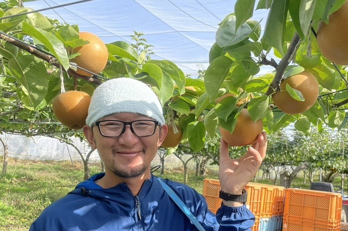 写真