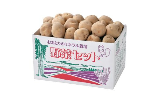 ≪令和７年産予約受付！≫おおとり 野菜の定期便（４回）グリーンアスパラ（ラスノーブル）1.5kg とうもろこし（黄・白）計１２本 男爵＆きたあかり  男爵Ｌサイズ5㎏・北あかり2Ｌ～Ｍサイズ5㎏ 冬至用南瓜5kg（２～３玉）アスパラ あすぱら とうもろこし とうきび ...