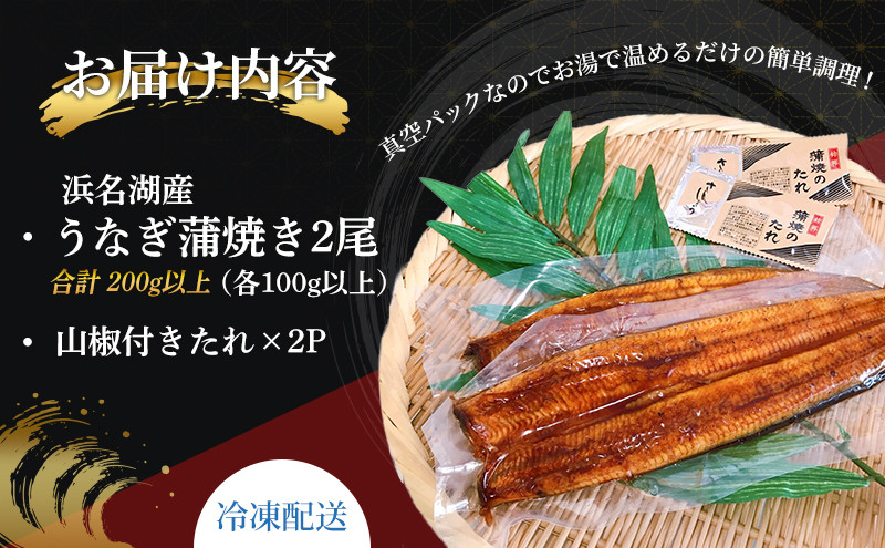 国産うなぎ 浜名湖産 蒲焼き 2尾 (100g以上×2本入) 山椒 たれ セット 詰め合わせ 海老仙 国産ウナギ 国産 うなぎ ウナギ 鰻 うなぎの蒲焼  鰻の蒲焼き 小分け おすすめ 贈答用 ギフト 冷凍 静岡 静岡県 浜松市 [№5786-2249] - 静岡県浜松市｜ふるさとチョイス - ふるさと  ...