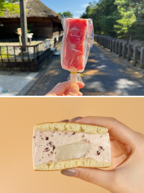写真