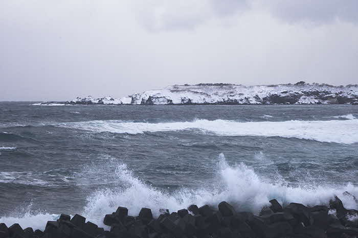 写真