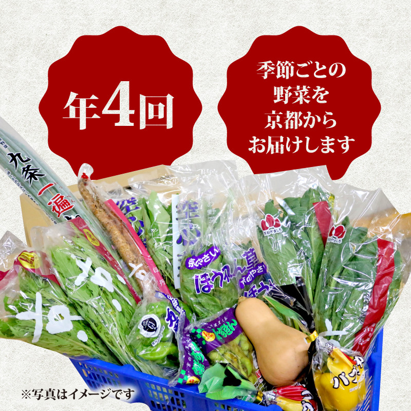 定期便 4回 京都 野菜 6～8種 年4回 旬 京野菜 春 夏 秋 冬 なす とうもろこし トマト ねぎ ごぼう 水菜 鍋 サラダ おかず 京都府  人気 おまかせ 詰め合わせ セット 京印京都南部青果 市場 - 京都府｜ふるさとチョイス - ふるさと納税サイト