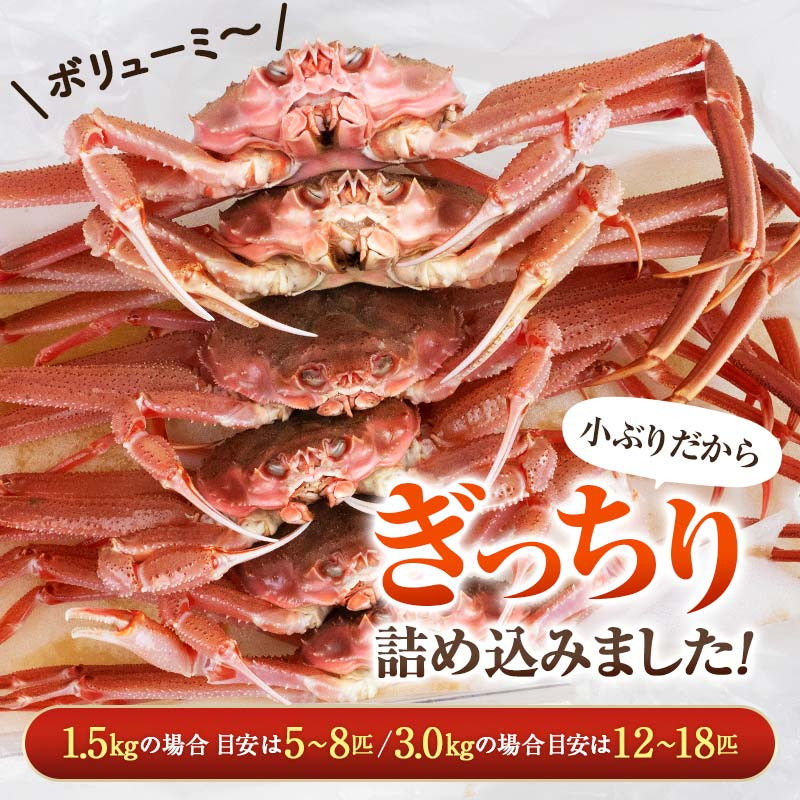 先行予約】【訳あり】北海道噴火湾産 活オオズワイガニ1.5kg （2025年4月以降順次発送） ＜道産ネットミツハシ＞ かに カニ 蟹 ガニ がに  森町 ふるさと納税 北海道 ずわいがに mr1-0601-4 - 北海道森町｜ふるさとチョイス - ふるさと納税サイト