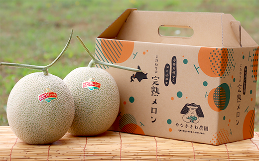 野菜園芸大百科4 メロン・スイカ(農文協・編) / 古本、中古本