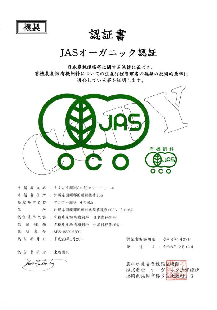 有機JAS認証＞オーガニックマンゴー2kg(4～5玉)【1589198