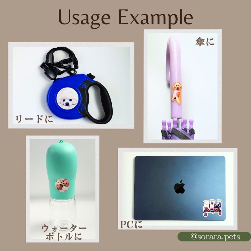写真