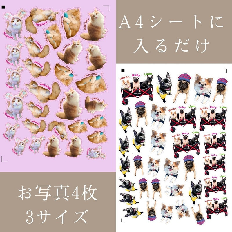 写真