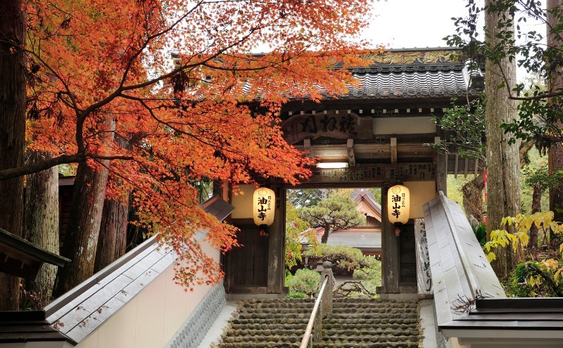 医王山油山寺の山門前（紅葉）