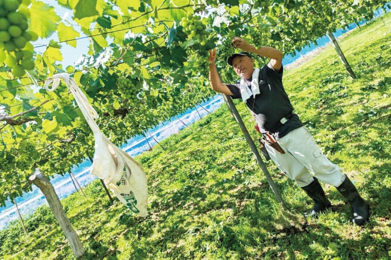 写真