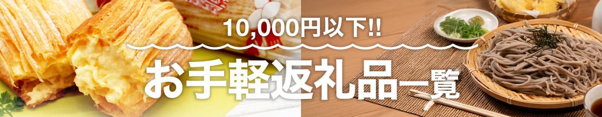 10,000円以下で購入できる。初めての方もどうぞ!!