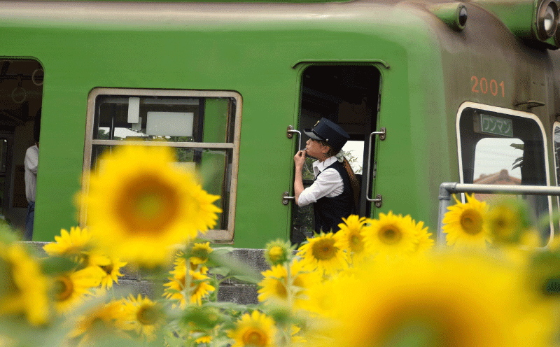 写真