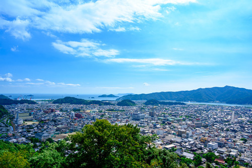 写真