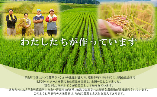 8月～9月発送】 岡山県産米 きぬむすめ 特A 20kg(5kg×4袋