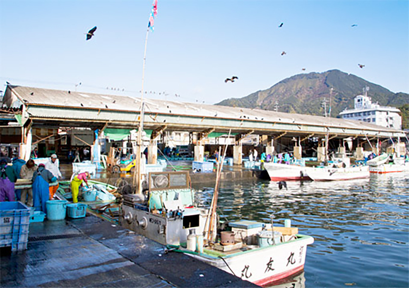 写真