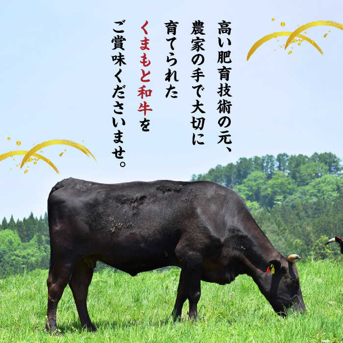 くまもと黒毛和牛のステーキをお楽しみください