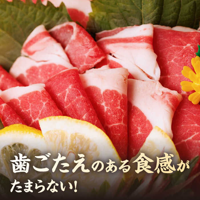 ヤング馬刺しは歯ごたえのある食感を楽しめます